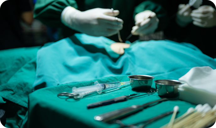 Farmacêutica e Biotecnologia